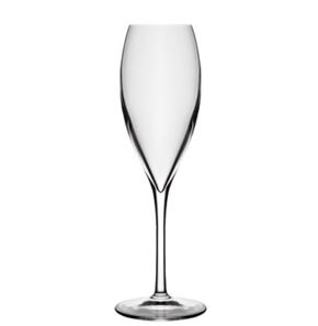 Champagne glass Atelier 20cl