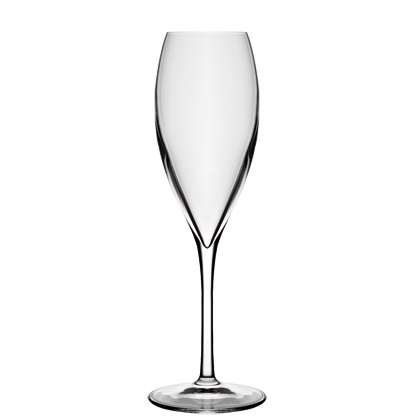 Champagne glass Atelier 20cl