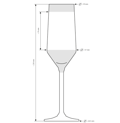 Bicchiere per Champagne Carré 22 cl Bicchiere per Champagne Carré 22 cl